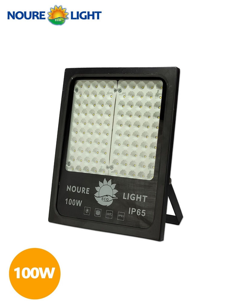 PROJ N.LIGHT SMD 100W