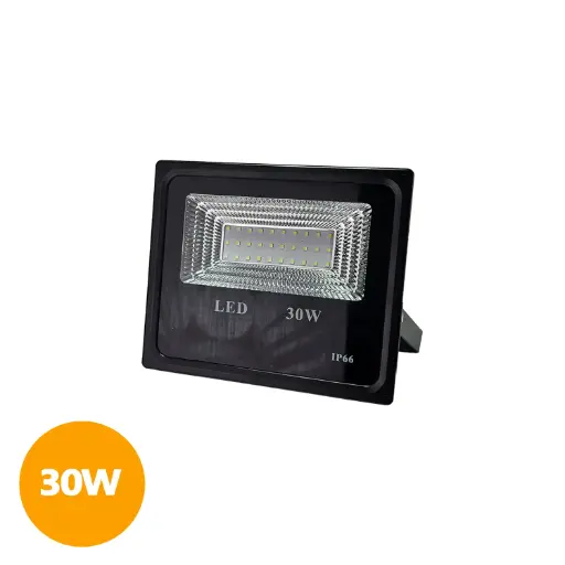 PROJ LED 30W