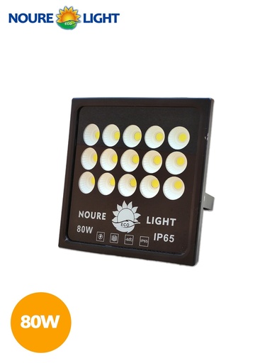 PROJ N.LIGHT COB 80W