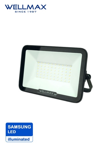PROJ WELLMAX 50W